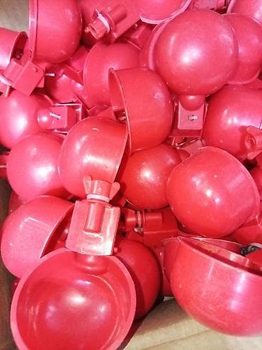 Qırmızı plastik quş su qabı – avtomatik şamandıralı - Tətbiq sahəsi