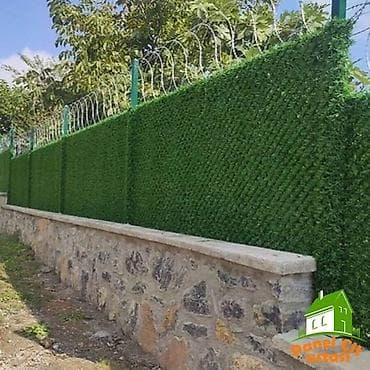 qazon: Məhəccər bəzəyi — 2