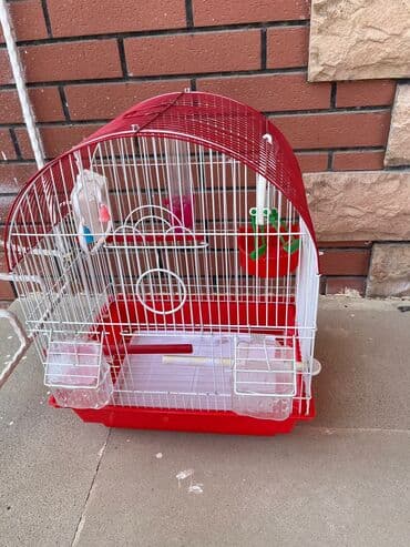 qefes boyuk: Qırmızı-ağ quş qəfəsi - Material: metal torlu karkas, plastik altlıq — 2