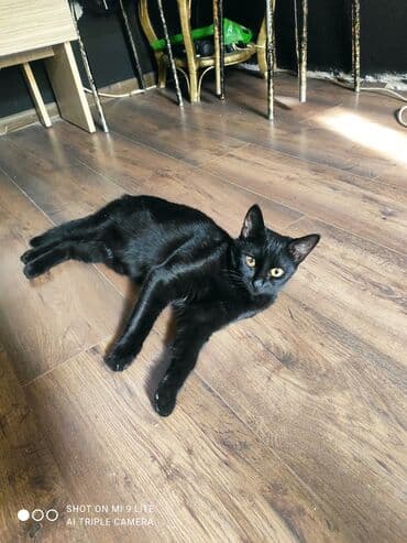 ağdaş yem fabriki: Yaxşı əllərə — 5