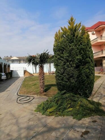 работа уборщицы на неполный рабочий день: Salam aleykum Adim Sahib 44yaşim var Bakıda yaşayiram Baki etrafi — 16