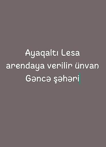 Digər biznes avadanlığı