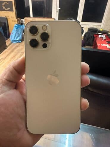 Fly: IPhone 12 Pro — 1