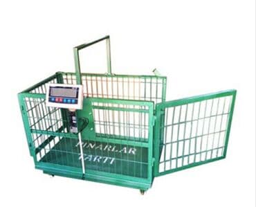 морозильная камера для мороженого бу: Terezi satilir — 9