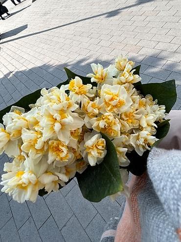 qadın işləri: Evden yazıb tehvil vermek üçün yazı işleri axtarıram. Müeyyen — 1