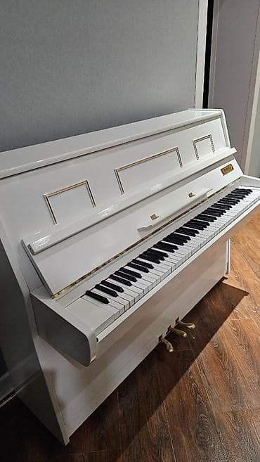 real gitara: Piano əla vəziyyətdədir, çox səliqəli saxlanıb. Tokkata modeldir — 6