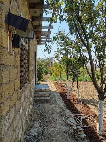 puta ev: Saray, 45 kv. m, 1 otaqlı, İşıq, Su — 3