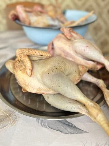 Çaydanlar: Təbii kənd xoruzu – təmizlənmiş, bütöv şəkildə. Məhsul — 3