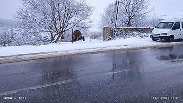 Bağ evlərinin satışı: Quba rayonu Xucbala kəndində içində yarımtikili olan 10 sot torpaq — 4