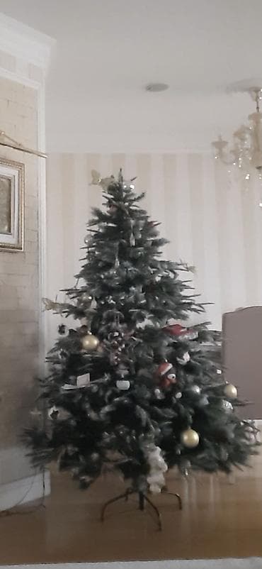 suni bitki: 🎄 Süni Yeni İl yolkası satılır! 🎄 Hündürlüyü təxminən 170 sm-dir — 3