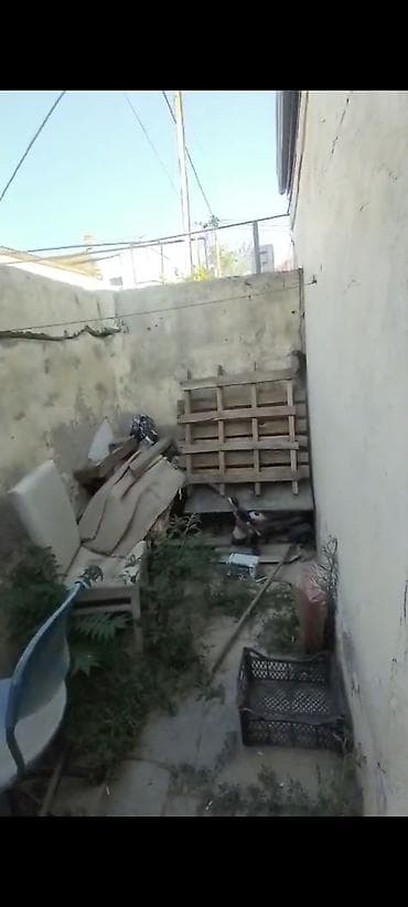 bine sovxoz evler: 40 kv. m, 1 otaqlı, Qaz, İşıq, Su — 3