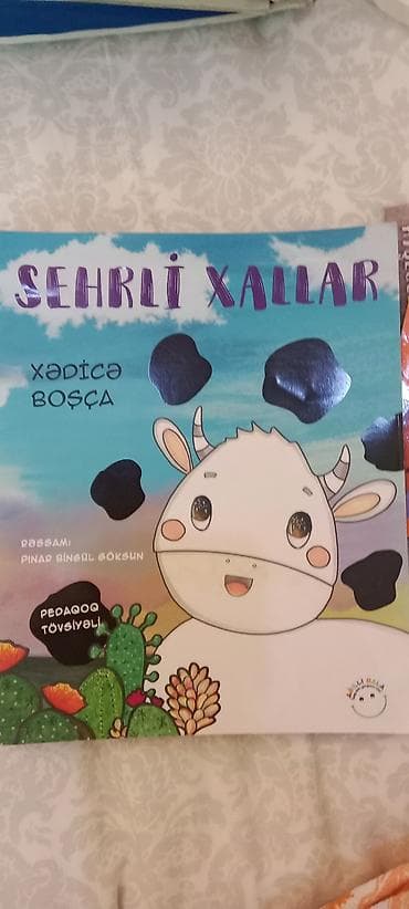 Məktəbəqədər və ibtidai sinif hazırlığı, Azərbaycan dili
