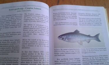 сколько стоит мотоцикл: Müxtəlif kitablar satılır. Biri 40 manat. "Nərəkimilər - dinozavrların — 16