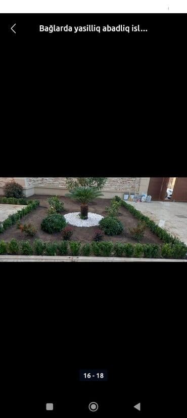 yonca toxum: Qazon çatrlma qurasdirma torf gubresinn satişi butun yasiliqa aid — 11