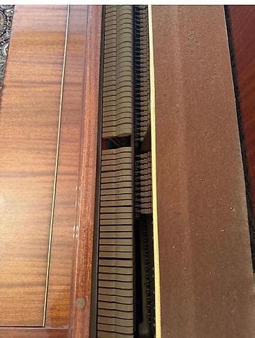 Piano, Petrof, Akustik