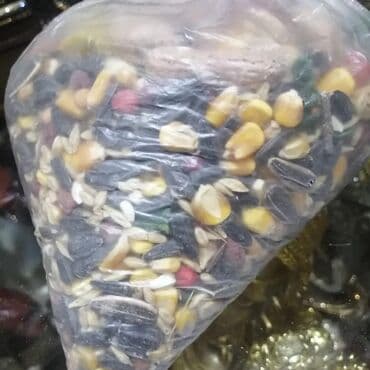 dovşan balası: Dovşan yemləri 2azn Dovşan balaları 5azn topdan Sadə yem Topdan 1-azn — 23