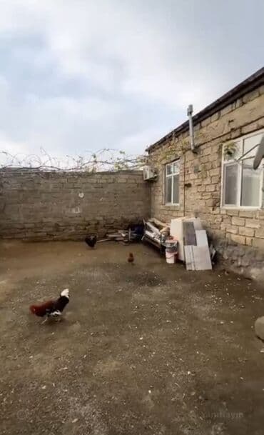 ucuz satilan evler: Şəkillər videodan götürülüb gəlib baxa bilərsiz. Həyət evi (Kürdəxanı — 1