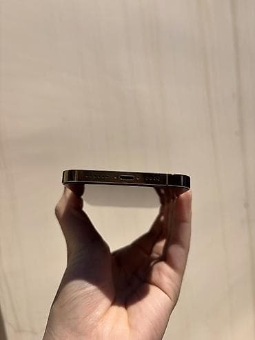 iphone 13 pro 256: IPhone 12 Pro Max, 128 GB, Matte Gold, Barmaq izi, Simsiz şarj, Face ID — 6