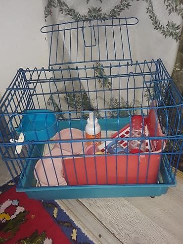 ev dovşan: Heyvan qəfəsi və aksesuar dəsti - Material: mavi metal karkas, möhkəm — 1