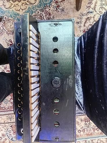 Гармошки: Гармонь, Цифровой, Б/у, Бесплатная доставка — 7