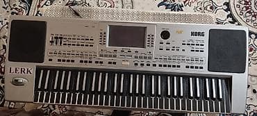 Охота и рыбалка: Синтезатор, Korg — 1