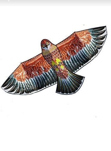 Maskalar, eynəklər: Çərpələng 

uçurtma — 1