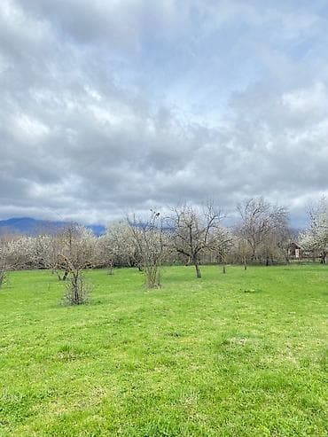 torpaq ceyranbatan: 66 sot, Tikinti, Mülkiyyətçi, Kupça (Çıxarış) — 9