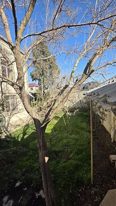 avadanliq satilir: 450 kv. m, 6 otaqlı, Su — 6