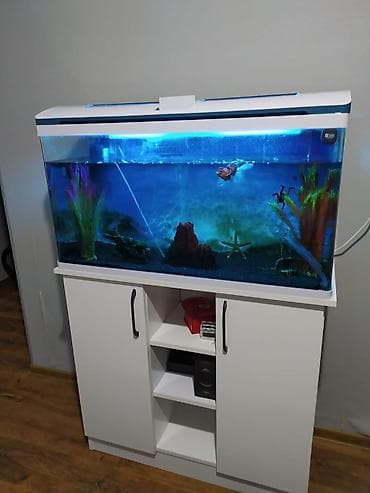 Digər heyvanlar: Akvaryum dəsti – şkaflı, işıqlı - Geniş şüşə akvaryum, üst qapaqlı — 3