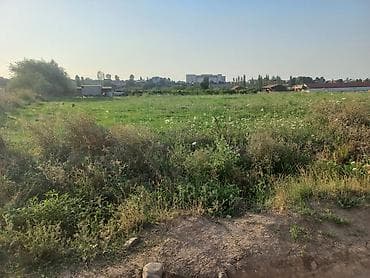 gunəşlidə: 24 sot, Tikinti, Mülkiyyətçi, Kupça (Çıxarış) — 8