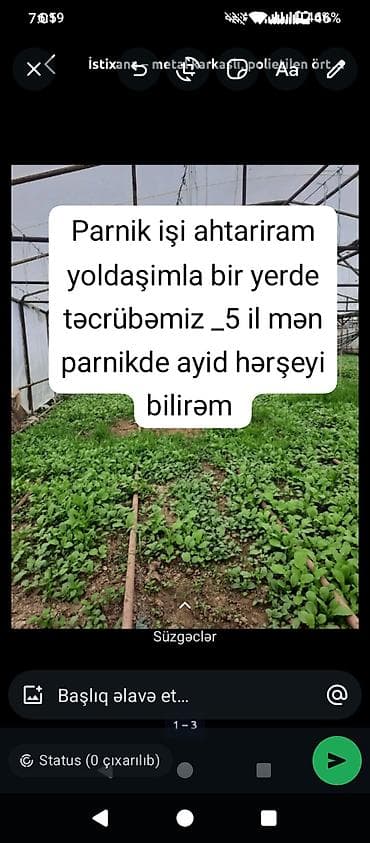 dayə işleri: Fermer, 5 ildən artıq təcrübə — 1