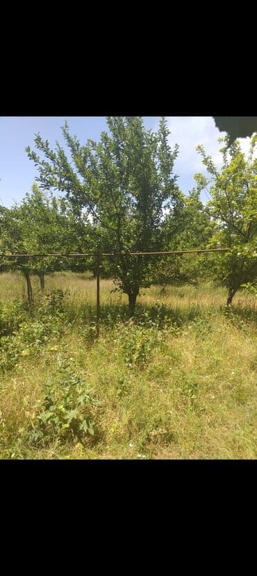xoşbulaqda ev satılır: 5 комнат, 10000 м² — 3