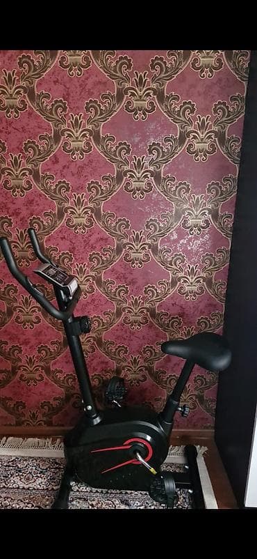 Тренажеры: Velotrenajor 250azn. Ela veziyyetdedir. Unvan Lokbatan. *N17 — 1