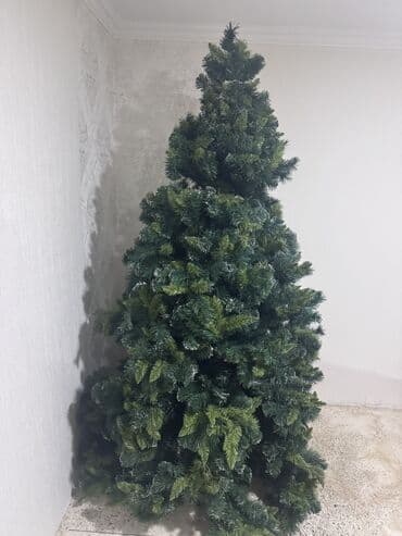 qarabaga aid resmler: 2.10 sm — 2