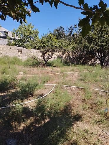 xırdalanda həyət evi: 10 sot, Tikinti, Mülkiyyətçi, Kupça (Çıxarış), Bələdiyyə, Texniki pasport — 2
