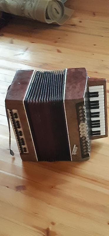 Velosiped aksesuarları: Akustik Akkordeon — 1