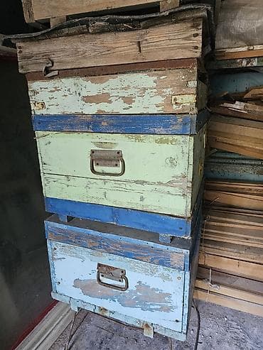 Arılar: Arı yeşikləri və künc dəmirləri satılır
Qiymet danisiq esasinda — 2