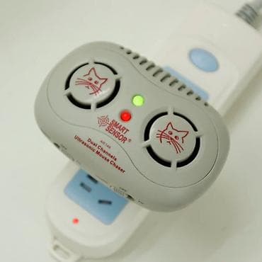 Siçan qovan, Yeni, Ünvandan götürmə, Pulsuz çatdırılma, Ödənişli çatdırılma