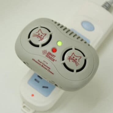 siçan zeheri: Siçan qovan, Yeni, Ödənişli çatdırılma, Ünvandan götürmə, Rayonlara çatdırılma — 1