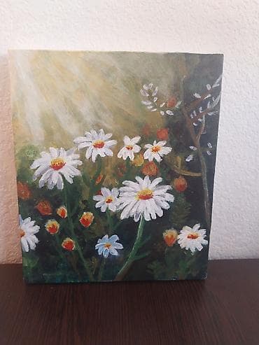 velosiped şəkli: 17×20. Əl işi rəsm tablosu – “Papatyalar” - Texnika: akril boya - — 1