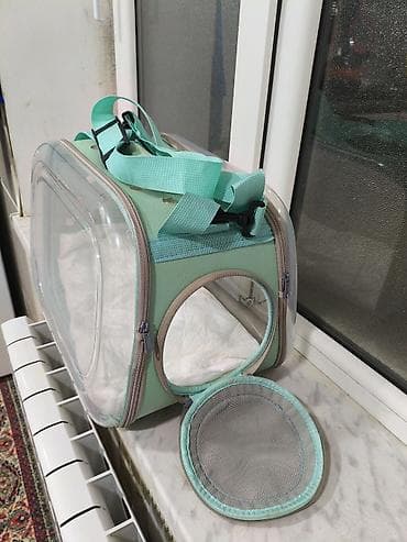 doberman bala: Şəffaf ön panelli daşıma çantası – pişik və kiçik itlər üçün real — 3