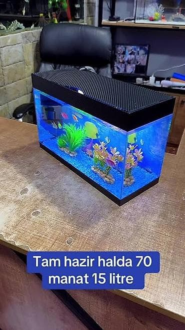 15 litrlik akvarium – tam hazır halda. - Üst qapaqlı, kompakt