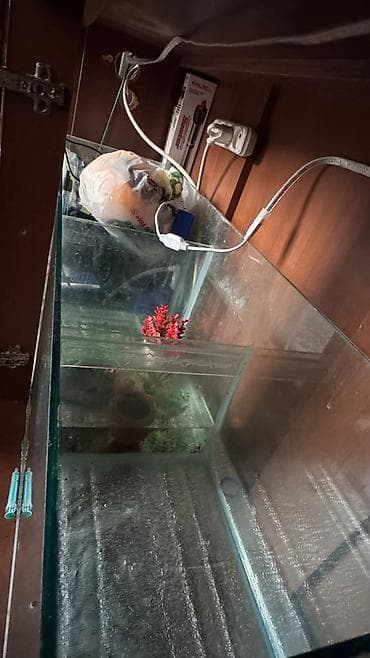 Heyvanlar üçün mallar: Böyük ölçülü şkaflı akvarium komplekti. Akvarium 500 litirlik satılır — 4