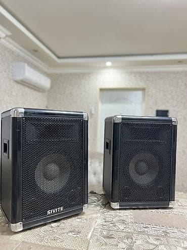 Микрофоны: SIVITE aktiv akustik sistem – cüt - Gücləndirici daxilində: “Build in — 1