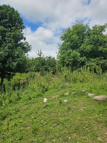 ferma icarəyə verilir: Tikinti — 1