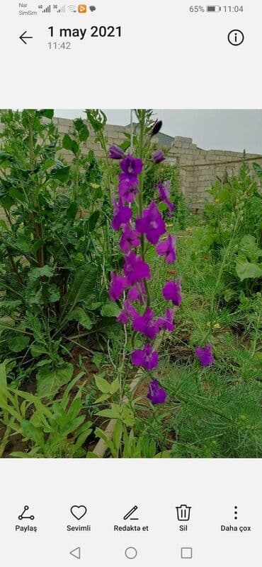 qobustan qesebesi: Geniş iki mərtəbəli fərdi yaşayış evi - Ümumi layihə: böyük həyətyanı — 7