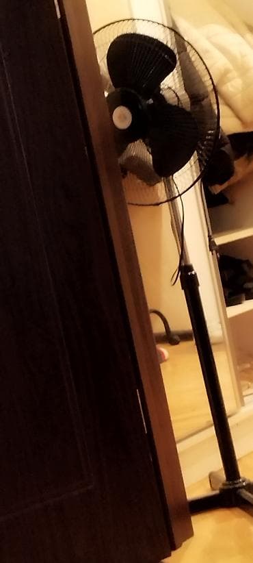 Ventilyatorlar: Döşəmə tipli fan - Rəng: qara - 3 qanadlı başlıq və metal qoruyucu — 1