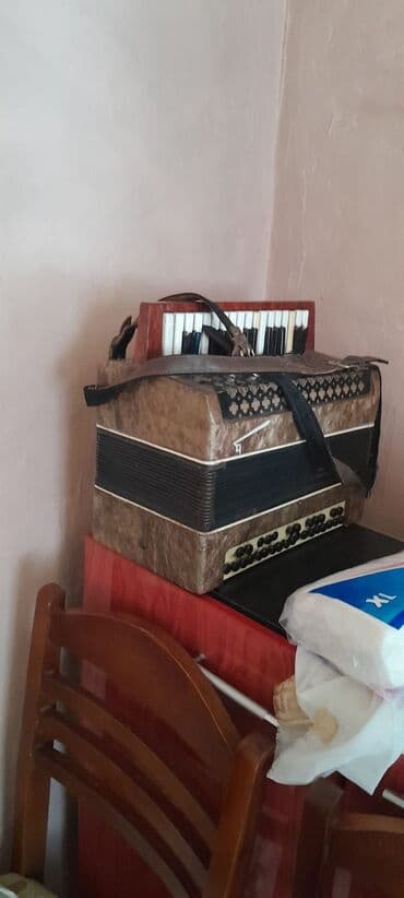 Lincoln: Акустический Аккордеон, Б/у — 4