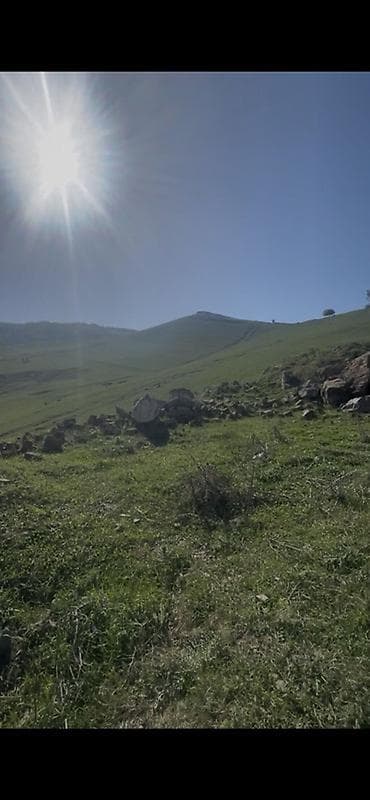 Mənzillər: 4 sot, Tikinti, Mülkiyyətçi, Kupça (Çıxarış) — 4