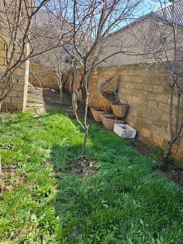 xacmazda satilan evler: Digah 4 otaqlı, 120 kv. m, Kredit yoxdur, Təmirsiz — 3